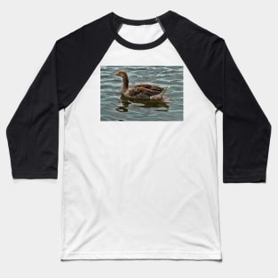 Greylag goose wroxham broad Baseball T-Shirt